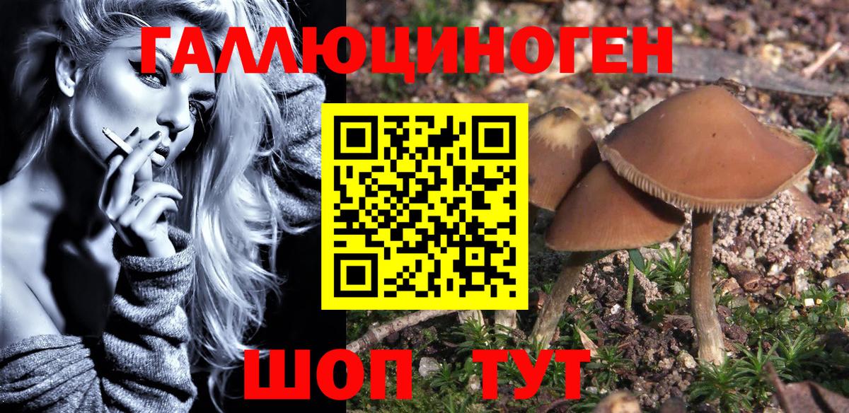 сколько стоит  Галлюциногенные грибы Magic Shrooms  Вход с VPN  Нарткала 